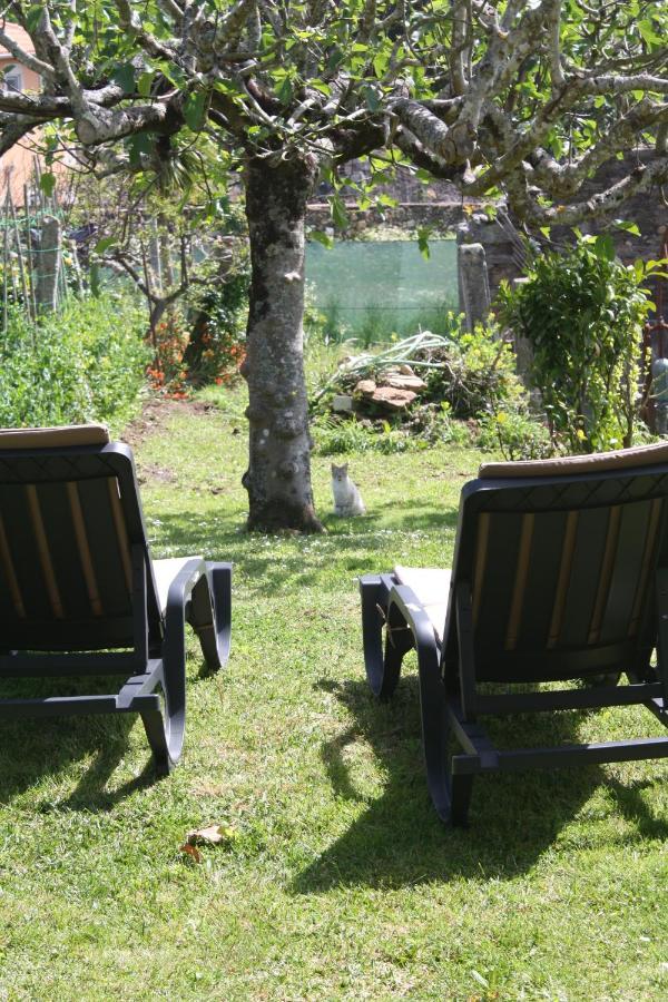 Loft Caminha Daire Dış mekan fotoğraf